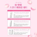 지엘(xiel) 네이버블로그