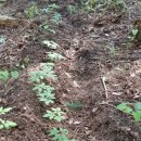 꿈의농장 이미지