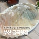 금곡카 | [남구/대연동] 부산 대연동 가자미회가 맛있는 금곡횟집 | 카페드에마블 버터떡 후기 (내돈내산)