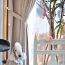 테리비어 이미지