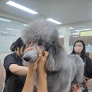 학원1번가학원