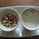 영주장례식장 이미지