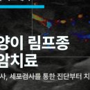 상암 진 동물의료센터 이미지