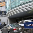 구세약국 | 앗, 이 머릿결 실화? 드디어 정착할 묭실 찾았어요!