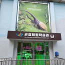 풍뎅이 별관 이미지