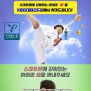 K용인대태권도장 이미지