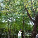 통일로 493번길 | [고양 대형카페/일산 아이랑 가기 좋은 곳, 플랜테이션] 야외놀이터+모래놀이+사진스폿