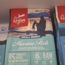 멍냥창고 이미지