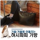 가을, 겨울 가방도 허시파피와 함께