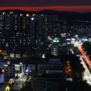 대송약국 이미지