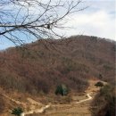 시골길 Daum카페