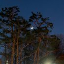 피굽남피자 광주9호점 | 집 가고 싶어요.