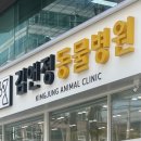 김앤정동물병원 이미지