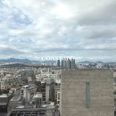 콘스탄스부동산중개 이미지