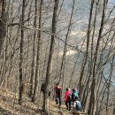 옥정 왕벚나무길 이미지