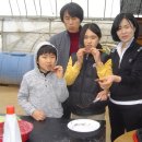 농장 천지인 이미지