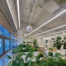 모든오피스도곡점 | 강남 비상주사무실, 드디어 찾았다! 강남도곡 드림캐쳐 솔직 후기