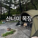 산너미목장 | 평창 산너미 목장 우중캠 솔직후기 명당에 대한 생각