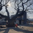 황산보건지소 이미지