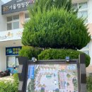 감꽃마을
