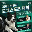 케이씨엠씨