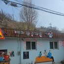 (주)원동 | 실시간 원동 매화축제 상황
