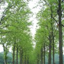 (주)도고별장 스파피아 이미지