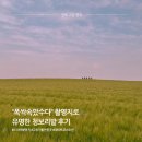 관식이 농장 | [”폭싹속았수다“ 촬영지] 애순이 관식이가 될 수 있는 특별한 데이트 장소 청보리밭 후기