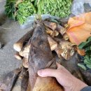 동부상회 이미지