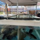 수한회관 이미지