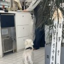 오아, our happy hour 네이버블로그