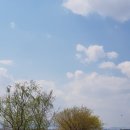 정직유부 부산구남점 이미지