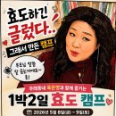 금빛 태권도장 네이버블로그