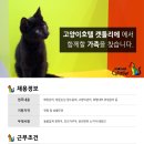 캣틀리에 이미지