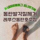 동탄 발각질제거 레푸스 동탄호수점 다녀온 후기