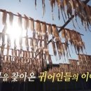 김천수산 티스토리