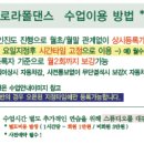 로라폴댄스 네이버블로그