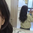 다다365 | 전주 전북대 미용실 오아세헤어 전북대점 물광펌 빈티지펌 후기 (다다실장님)