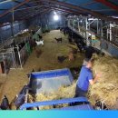 햇살 염소농장 이미지