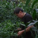 호석농장 이미지