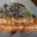 오징어와세꼬시 이미지