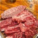 까망돼지 이미지