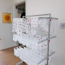 콩이네하우스 | [임신후기] 막달 임산부 일상기록