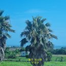 제주돌고래공인중개사사무소 이미지