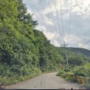 잣나무 향기 펜션 | 삼척여행 검봉산 자연휴양림 휴양관 A동 잣나무 입실 후기