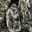 소도수산 이미지