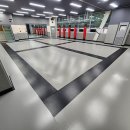 타이거합기도 이미지