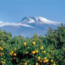 하례2리 이미지