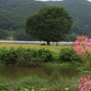 화천쉼터 이미지