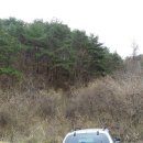 영심농장 이미지